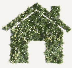 Backes Objektbetreuung